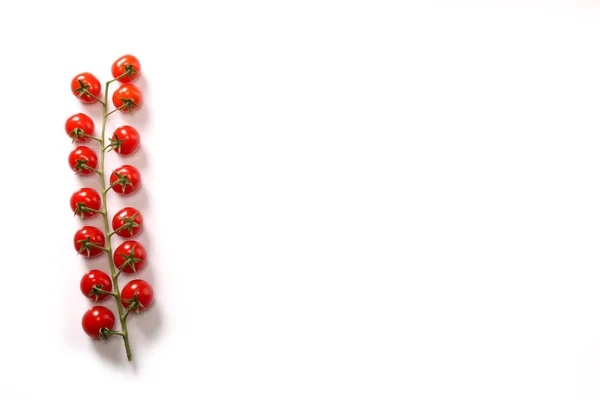 Ripe fresh Juicy organic cherry tomatoes closeup on branch isolated on a white background. — Stock Photo, Image