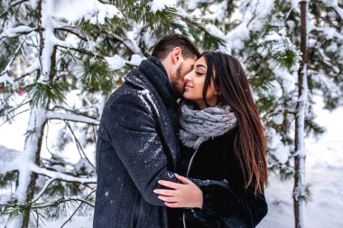 Soğuk kış parkta sarılma ihale çift