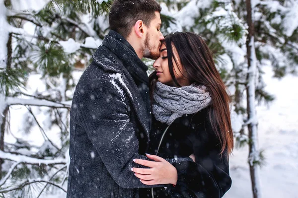 Soğuk kış parkta sarılma ihale çift