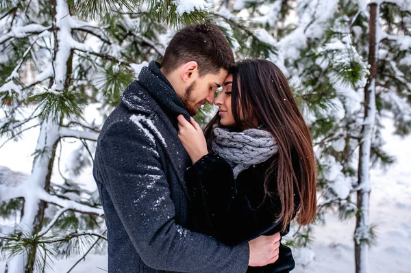 Soğuk kış parkta sarılma ihale çift