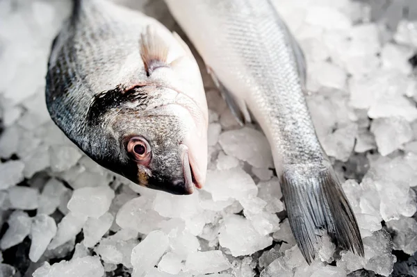 Blick Auf Frischen Fisch Auf Einem Haufen Kaltem Crushed Ice — Stockfoto