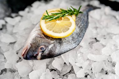 Soğuk ezilmiş buz yığını üzerinde limon dilimleri ve biberiye ile taze balık yakın görünümü