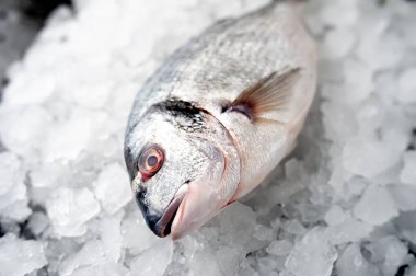 Soğuk ezilmiş buz yığını üzerinde taze balık yakın görünümü