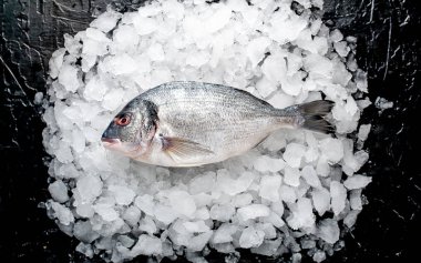 Soğuk ezilmiş buz yığını üzerinde taze balık yakın görünümü