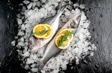 Soğuk ezilmiş buz yığını üzerinde limon dilimleri ve biberiye ile taze balık yakın görünümü