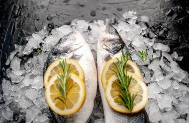 Soğuk ezilmiş buz yığını üzerinde limon dilimleri ve biberiye ile taze balık yakın görünümü
