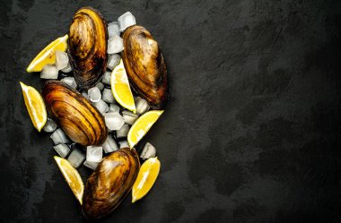 Taze çiğ midye buz küpleri üzerinde limon dilimleri ile servis