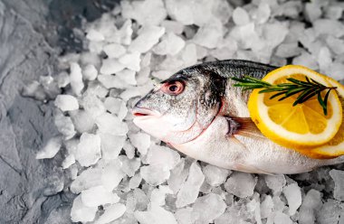 Soğuk ezilmiş buz yığını üzerinde limon dilimleri ve biberiye ile taze balık yakın görünümü