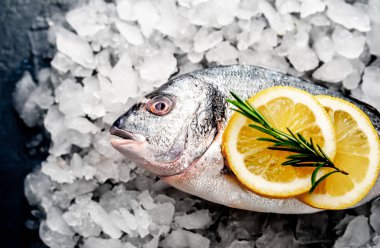 Soğuk ezilmiş buz yığını üzerinde limon dilimleri ve biberiye ile taze balık yakın görünümü