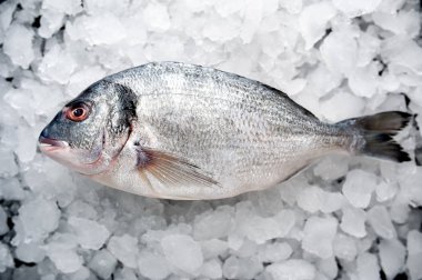 Soğuk ezilmiş buz yığını üzerinde taze balık yakın görünümü