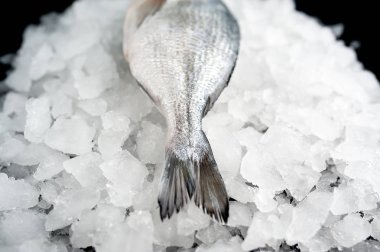 Soğuk ezilmiş buz yığını üzerinde taze balık yakın görünümü