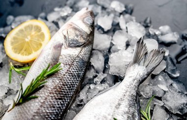 Soğuk ezilmiş buz yığını üzerinde limon dilimi ve biberiye ile taze balık yakın görünümü