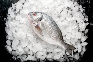 Soğuk ezilmiş buz yığını üzerinde taze balık yakın görünümü