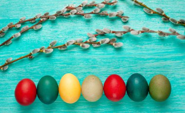 Parlak mavi ahşap arka planda renkli Paskalya yumurtaları ve kedi söğüt dalları yığını