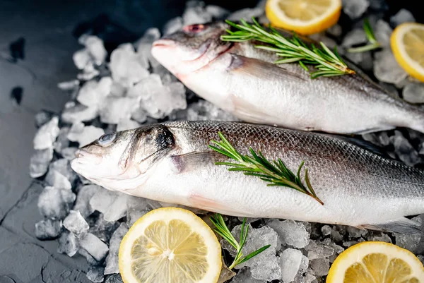 Soğuk ezilmiş buz yığını üzerinde limon dilimleri ve biberiye ile taze balık yakın görünümü