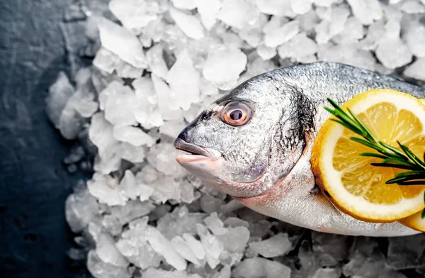 Soğuk ezilmiş buz yığını üzerinde limon dilimleri ve biberiye ile taze balık yakın görünümü