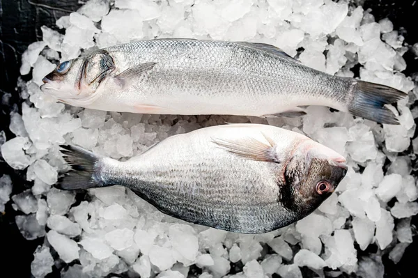 Blick Auf Frischen Fisch Auf Einem Haufen Kaltem Crushed Ice — Stockfoto