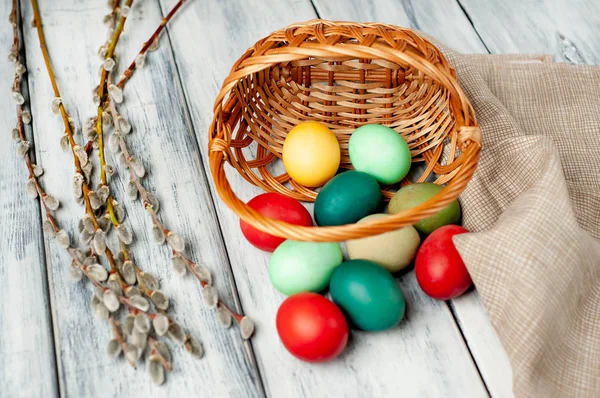 Beyaz ahşap arka planda renkli Paskalya yumurtaları ve kedi söğüt dalları ile sepet