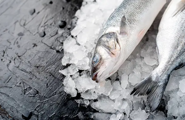 Blick Auf Frischen Fisch Auf Einem Haufen Kaltem Crushed Ice — Stockfoto