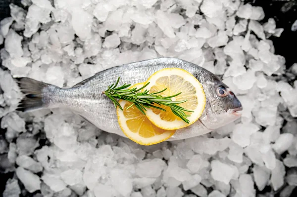 Blick Auf Frischen Fisch Mit Zitronenscheiben Und Rosmarin Auf Einem — Stockfoto