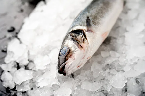 Blick Auf Frischen Fisch Auf Einem Haufen Kaltem Crushed Ice — Stockfoto