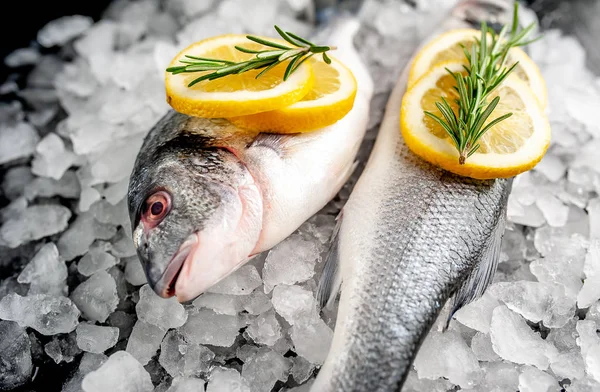 Soğuk ezilmiş buz yığını üzerinde limon dilimleri ve biberiye ile taze balık yakın görünümü