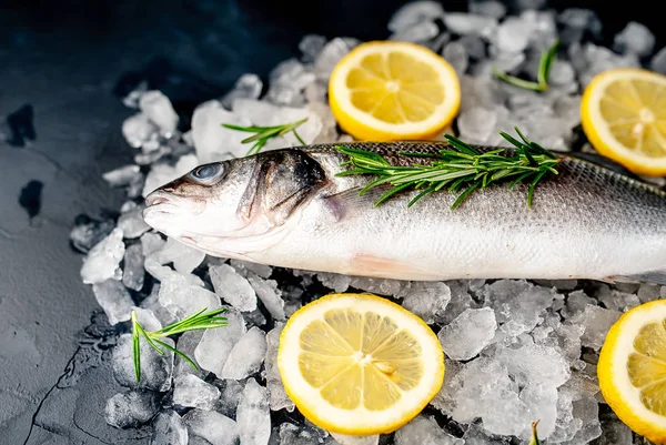 Close view of fresh fish with lemon slices and rosemary on pile of cold crushed ice