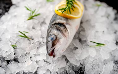 Soğuk ezilmiş buz yığını üzerinde limon dilimleri ve biberiye ile taze balık yakın görünümü