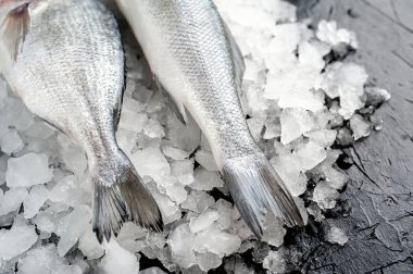 Soğuk ezilmiş buz yığını üzerinde taze balık yakın görünümü