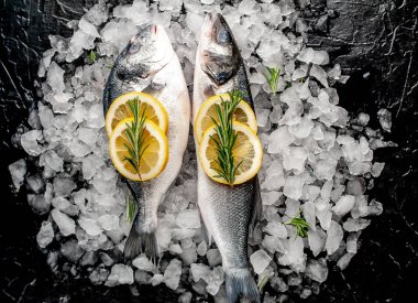 Soğuk ezilmiş buz yığını üzerinde limon dilimleri ve biberiye ile taze balık yakın görünümü