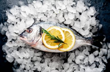 Soğuk ezilmiş buz yığını üzerinde limon dilimleri ve biberiye ile taze balık yakın görünümü