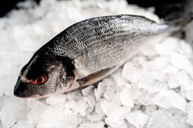 Soğuk ezilmiş buz yığını üzerinde taze balık yakın görünümü