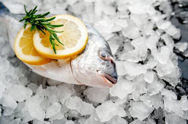 Soğuk ezilmiş buz yığını üzerinde limon dilimleri ve biberiye ile taze balık yakın görünümü