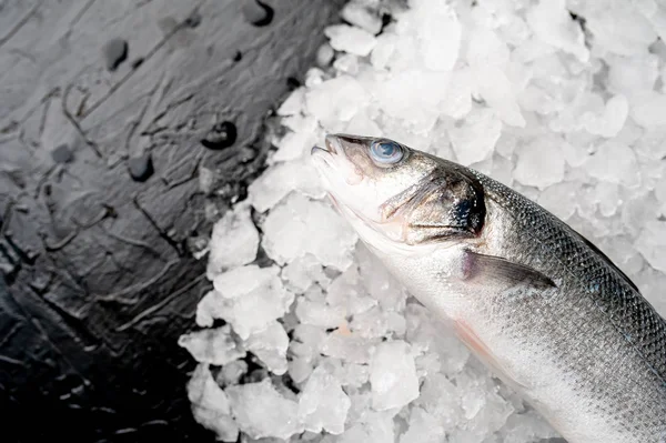 Blick Auf Frischen Fisch Auf Einem Haufen Kaltem Crushed Ice — Stockfoto