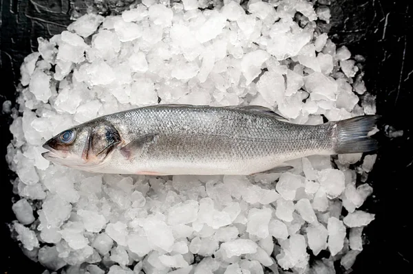 Blick Auf Frischen Fisch Auf Einem Haufen Kaltem Crushed Ice — Stockfoto