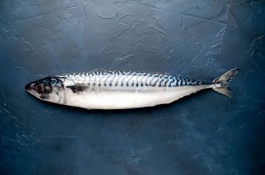 Siyah taş arka plan üzerinde taze ham bonito