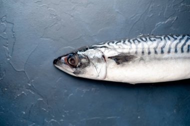 Siyah taş arka plan üzerinde taze ham bonito