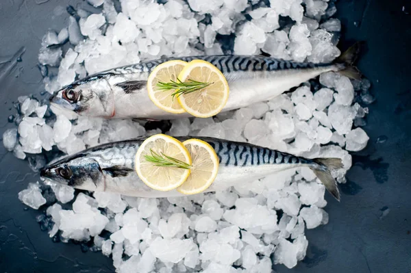 Zamknij Widok Świeżych Ryb Plasterki Cytryny Rozmaryn Stos Zimnej Kruszonego — Zdjęcie stockowe