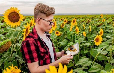 Genç adam ayçiçeği tarlasında duruyor ve tableti elinde tutuyor.