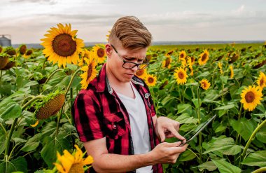 Genç adam ayçiçeği tarlasında duruyor ve tableti elinde tutuyor.