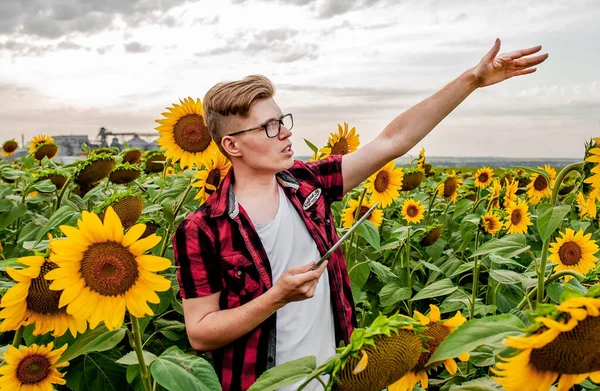 Young man stands in sunflower field with tablet in his hands and other hand pointing to the sky