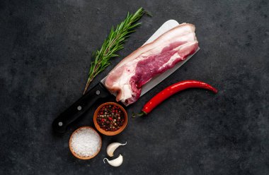 Metnin için fotokopi alanı olan taştan bir arka planda kesilmiş baharatlı çiğ domuz göğsü.