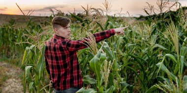 Bağların arka planında genç bir çiftçi
