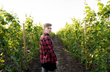 Bağların arka planında genç bir çiftçi
