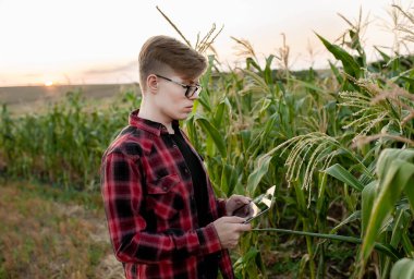 Tarlada gün batımında tabletli çiftçi, tarım yönetimi kavramı