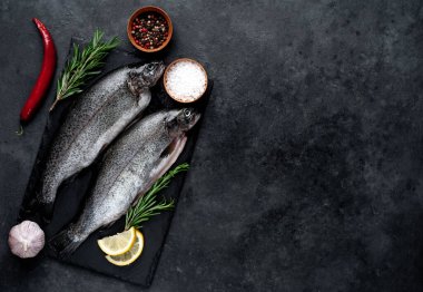 Taş zeminde baharat ve malzemelerle çiğ balık alabalığı.