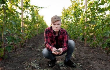 Erkek tarım uzmanı, üzüm bağlarının yakınındaki bir tarladaki toprağın kalitesini kontrol ediyor.