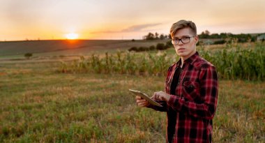 Tarlada gün batımında tabletli çiftçi, tarım yönetimi kavramı