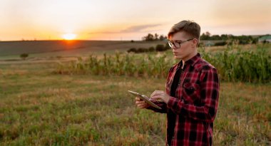 Tarlada gün batımında tabletli çiftçi, tarım yönetimi kavramı