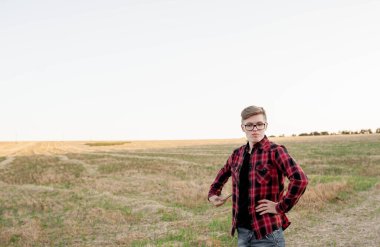 Tarlada gün batımında tabletli çiftçi, tarım yönetimi kavramı